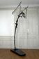 Brutalist sculptural wrought iron Dragon floor lamp, France