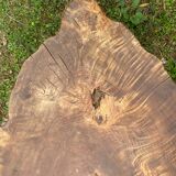 Elm wood table