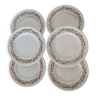 6 assiettes à dessert vintage porcelaine liseré lierre marron