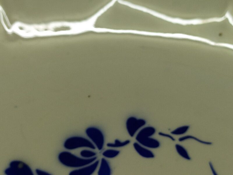 sea sarreguemines porcelain dish 24 Paradise bush blue bird old vintage