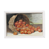 Still life, watercolor, basket with apricots