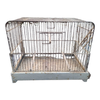 Old iron birdcage