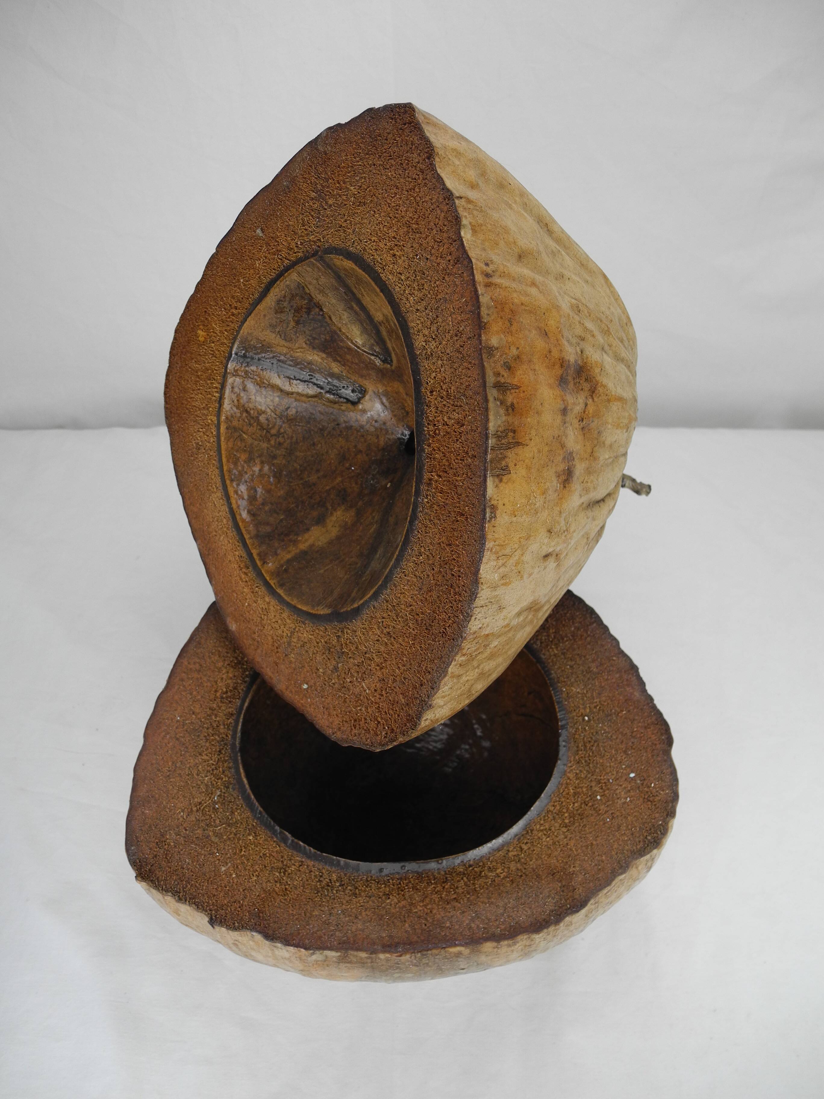 Old ice bucket coconut deco vintage