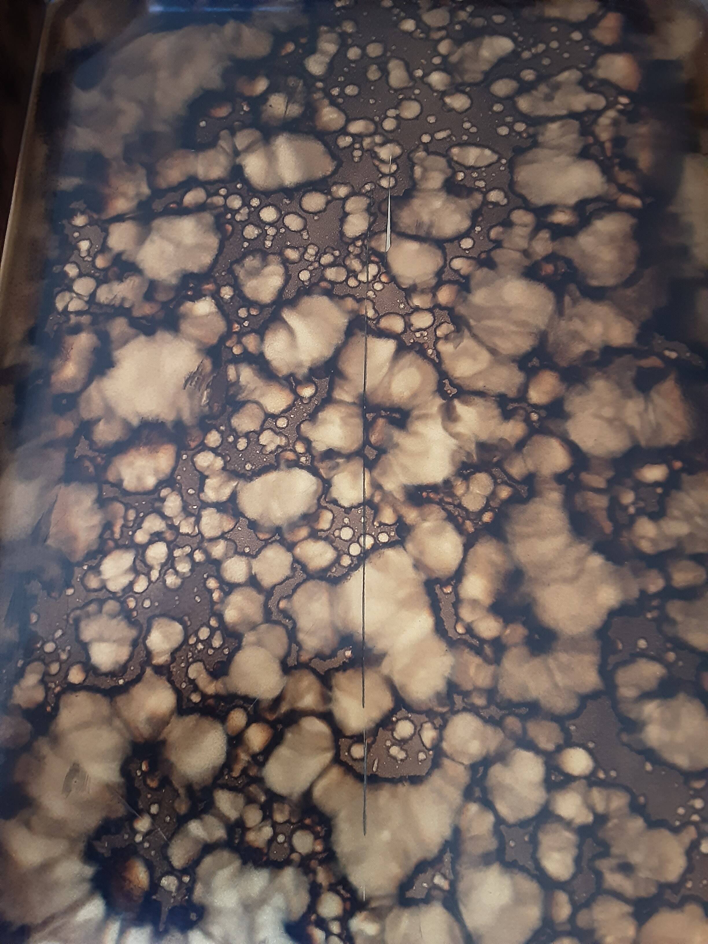 Melarti Magnifying Glass Tray