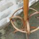 Parrot coatrack