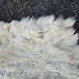 Vintage goatskins