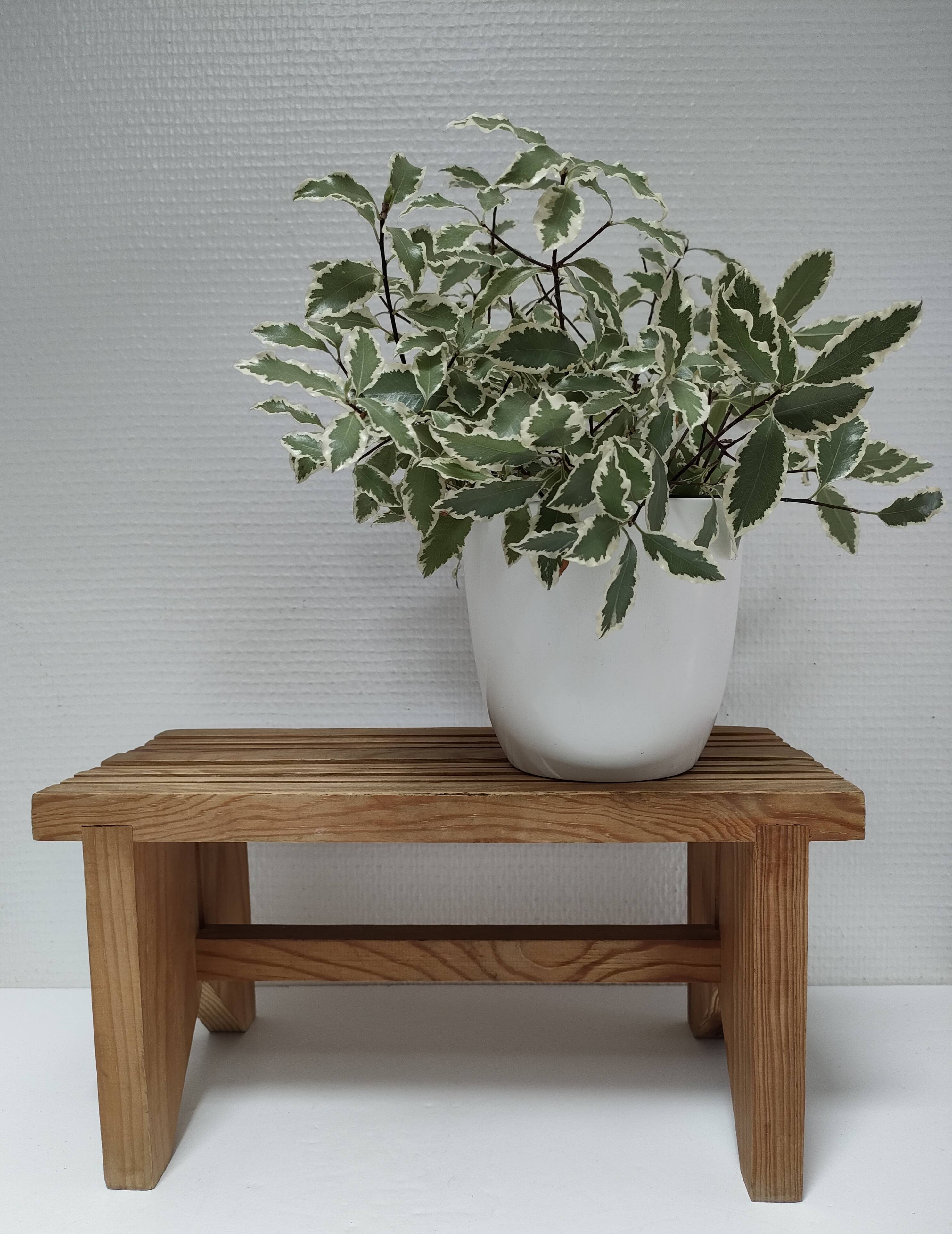 Vintage solid pine slatted low stool
