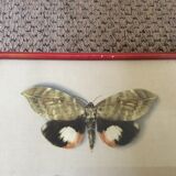 Butterfly engraving