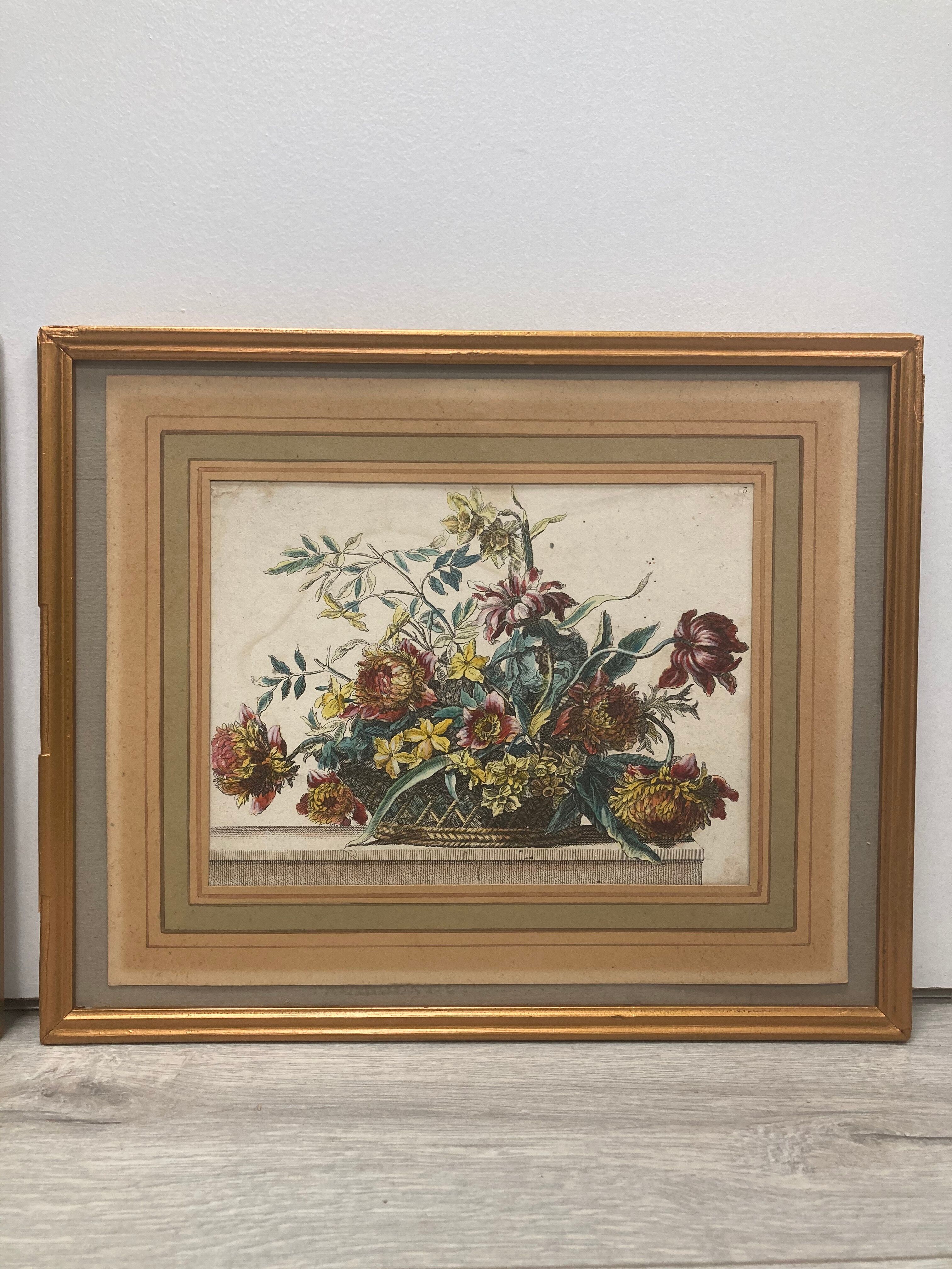 Pair of framed botanical boards
