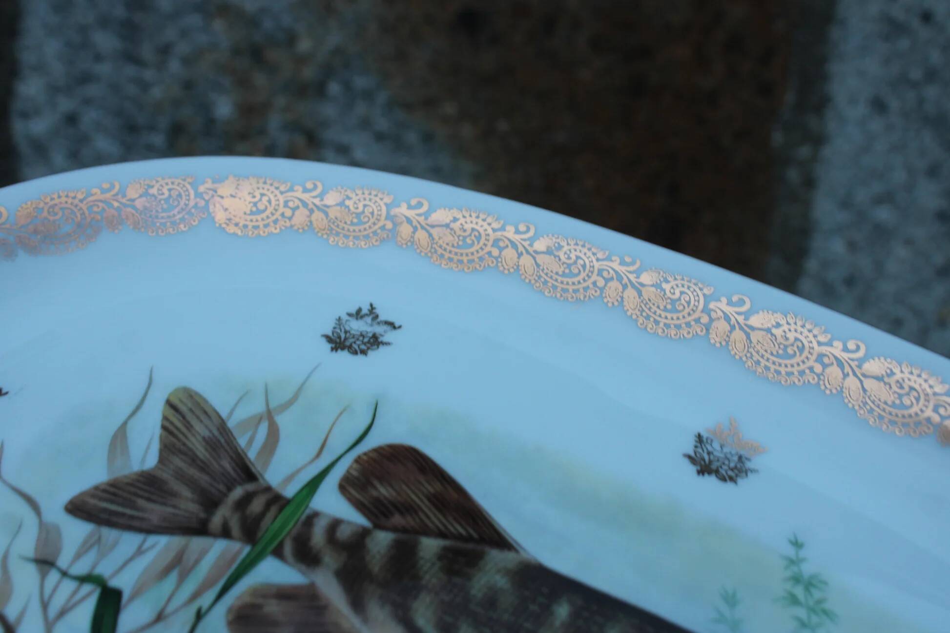 Large French porcelain dish L.C – Painted pike & gilded frieze