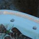 Large French porcelain dish L.C – Painted pike & gilded frieze