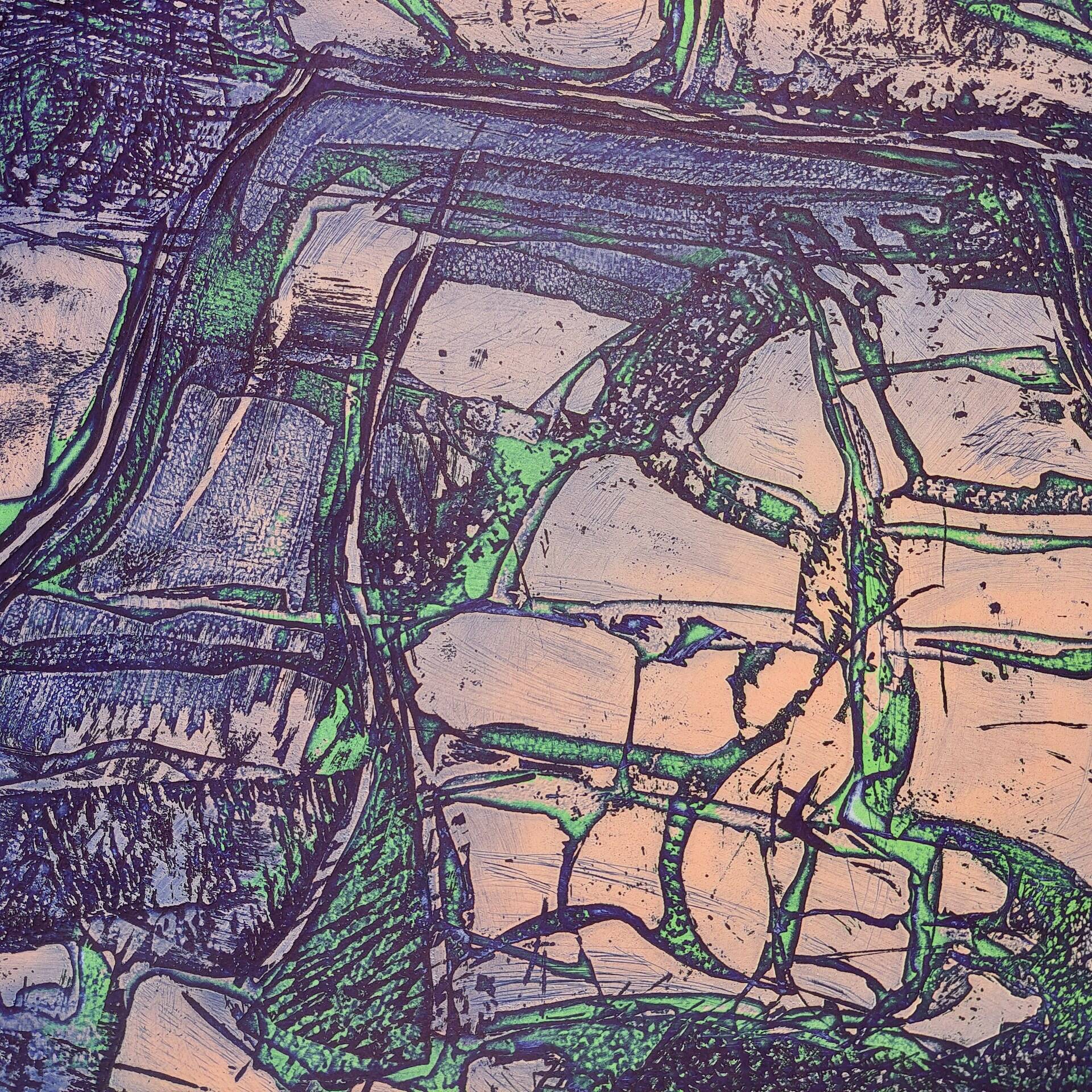 Lithograph by Joelle SERVE "Amalgam" signed