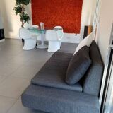3-4 seater designer sofa + cushion