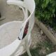Pair of armchairs