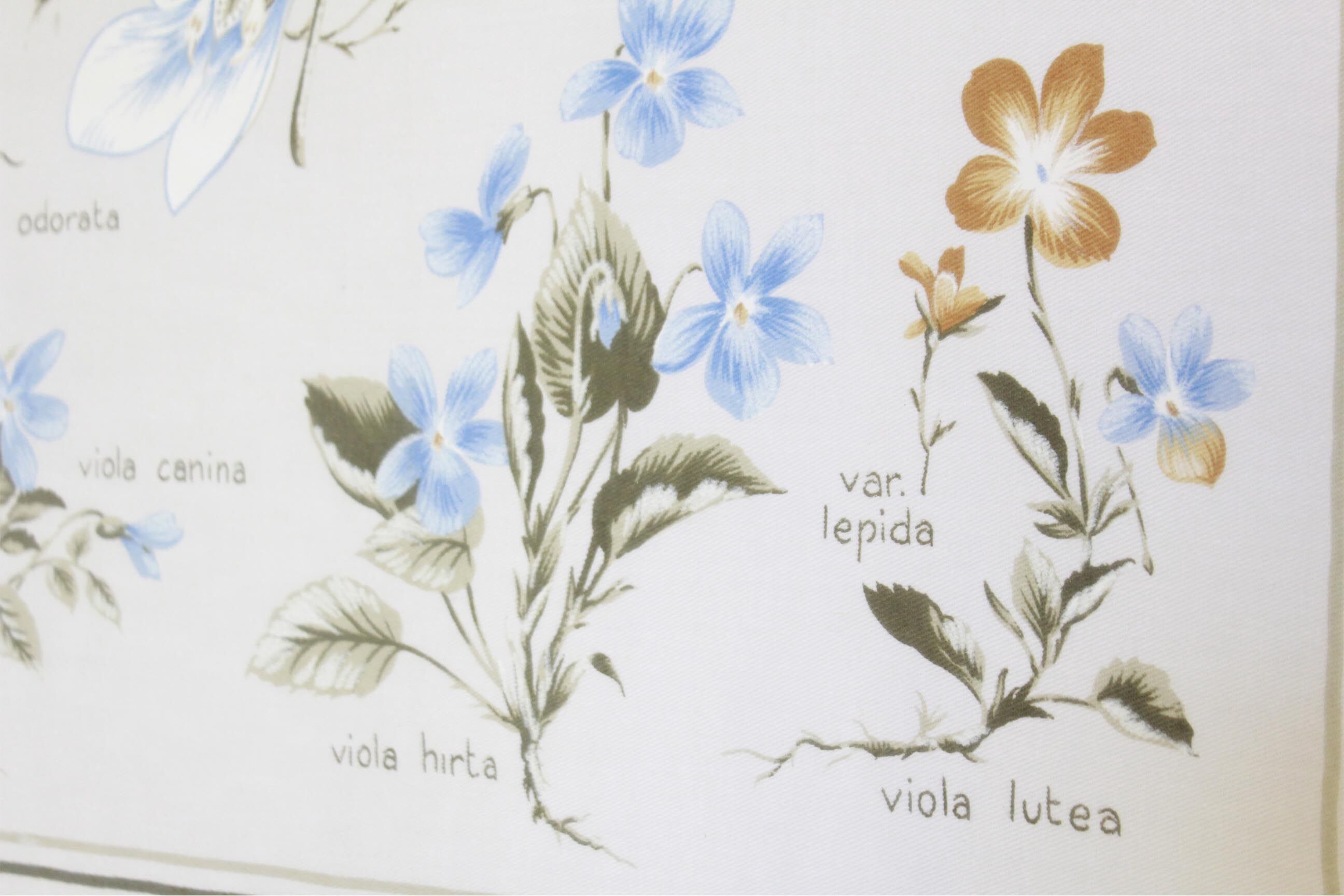 1960s vintage violets flowers chart poster