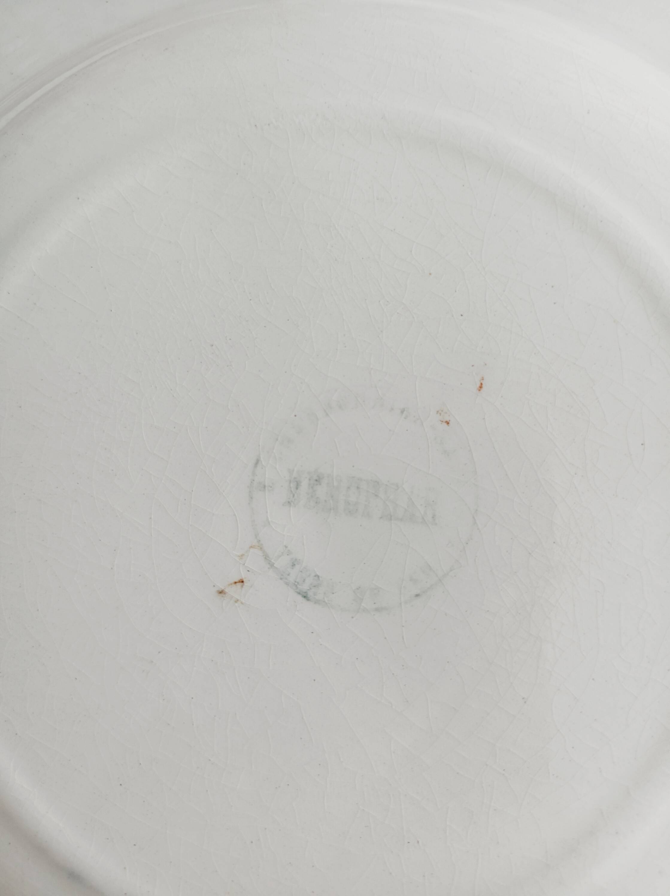 Set of 3 Salins soup plates, water lily