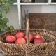 Panier de cueillette