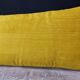Lot de 2 coussins velours/imprimés 50x30cm