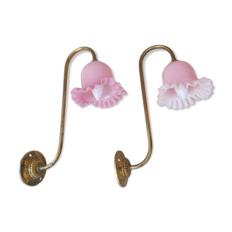 Paire d'appliques col de cygne