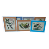 Frames