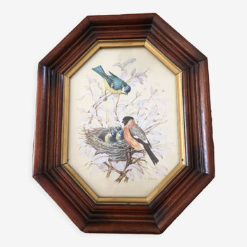 Tableau sous verre, peinture sur soie représentant des oiseaux, signature U. Selis