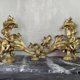 Paire de chenêts en bronze ciselé et doré d'après un modèle de Jacques Caffieri, Paris XIXème