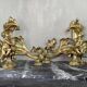 Paire de chenêts en bronze ciselé et doré d'après un modèle de Jacques Caffieri, Paris XIXème