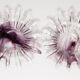Pair of decorative plates/glasses in light purple vintage glass, Italy, 1960s