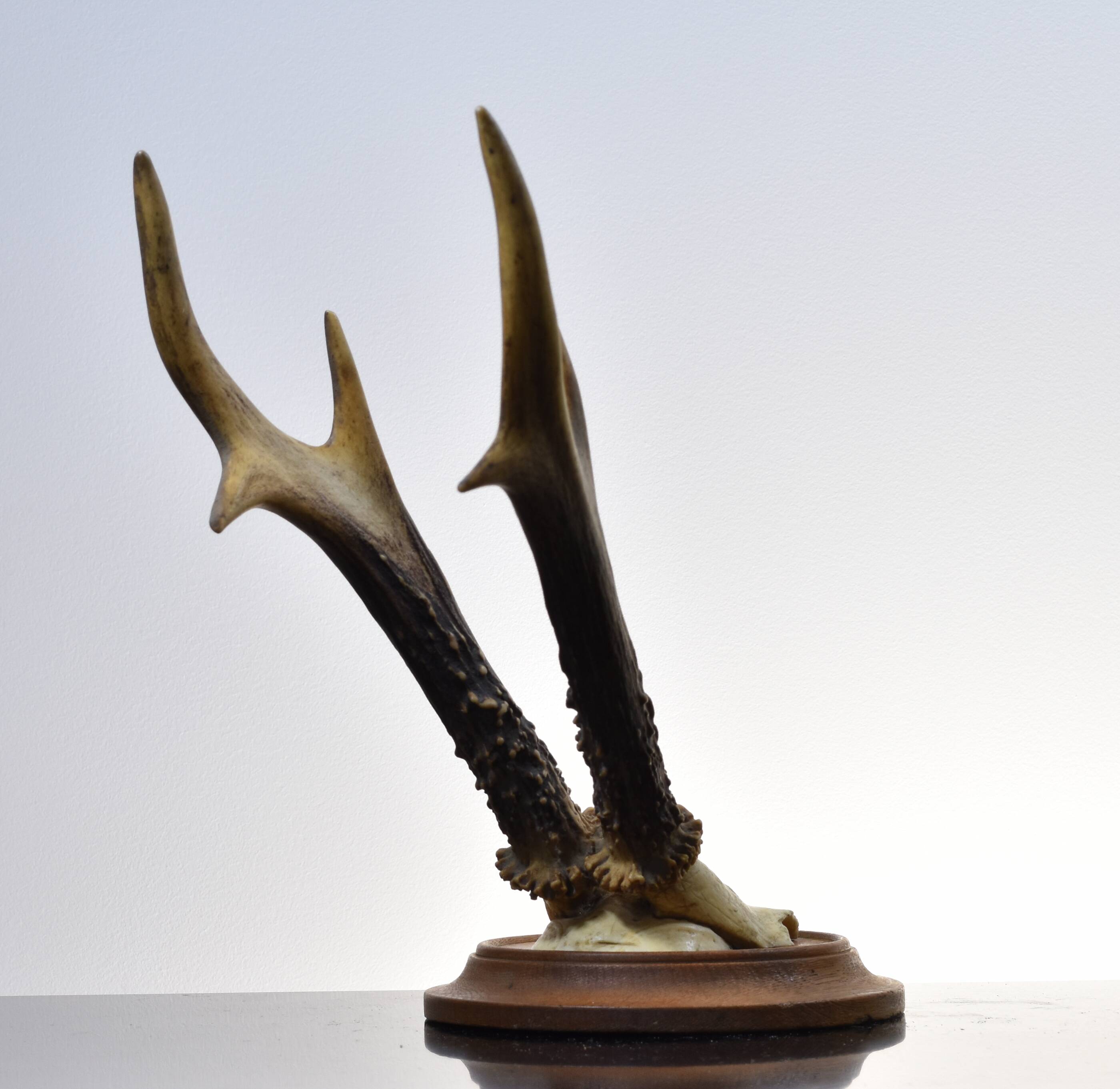 Karl Roegner Deer Massacre