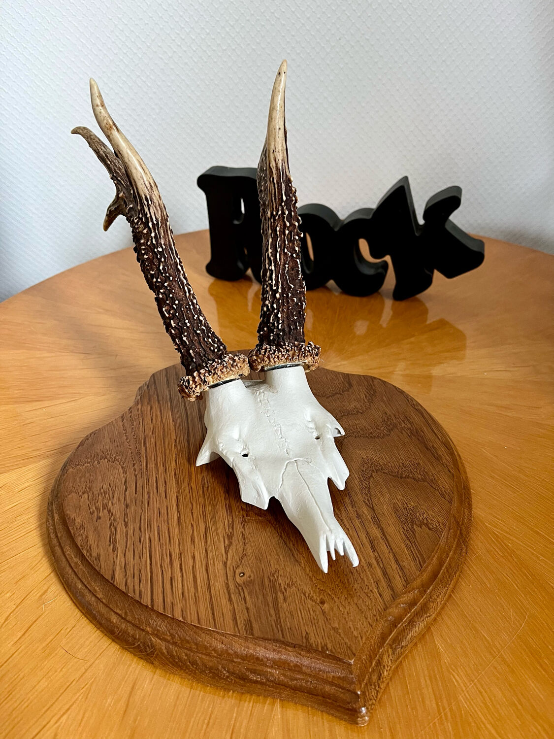 Vintage trophy deer antler