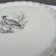 Hand-painted pheasant dish porcelain Au Vase Etrusque Paris
