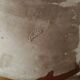 Coupe/vasque en terre cuite vermissee a decor lezard salamandre