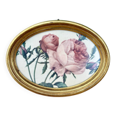 Vintage frame and rose by Redouté