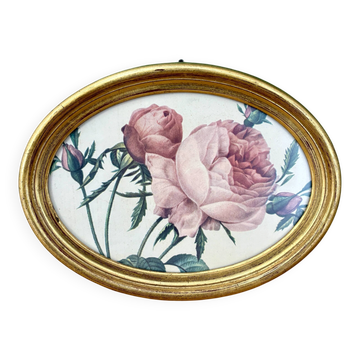 Vintage frame and rose by Redouté