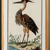 Small poster on the Heron, after an old engraving from 1610.