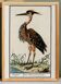 Small poster on the Heron, after an old engraving from 1610.