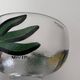 Bowl Kosta Boda by Ulrica Hydman Vallien – hand-painted glass 15 cm