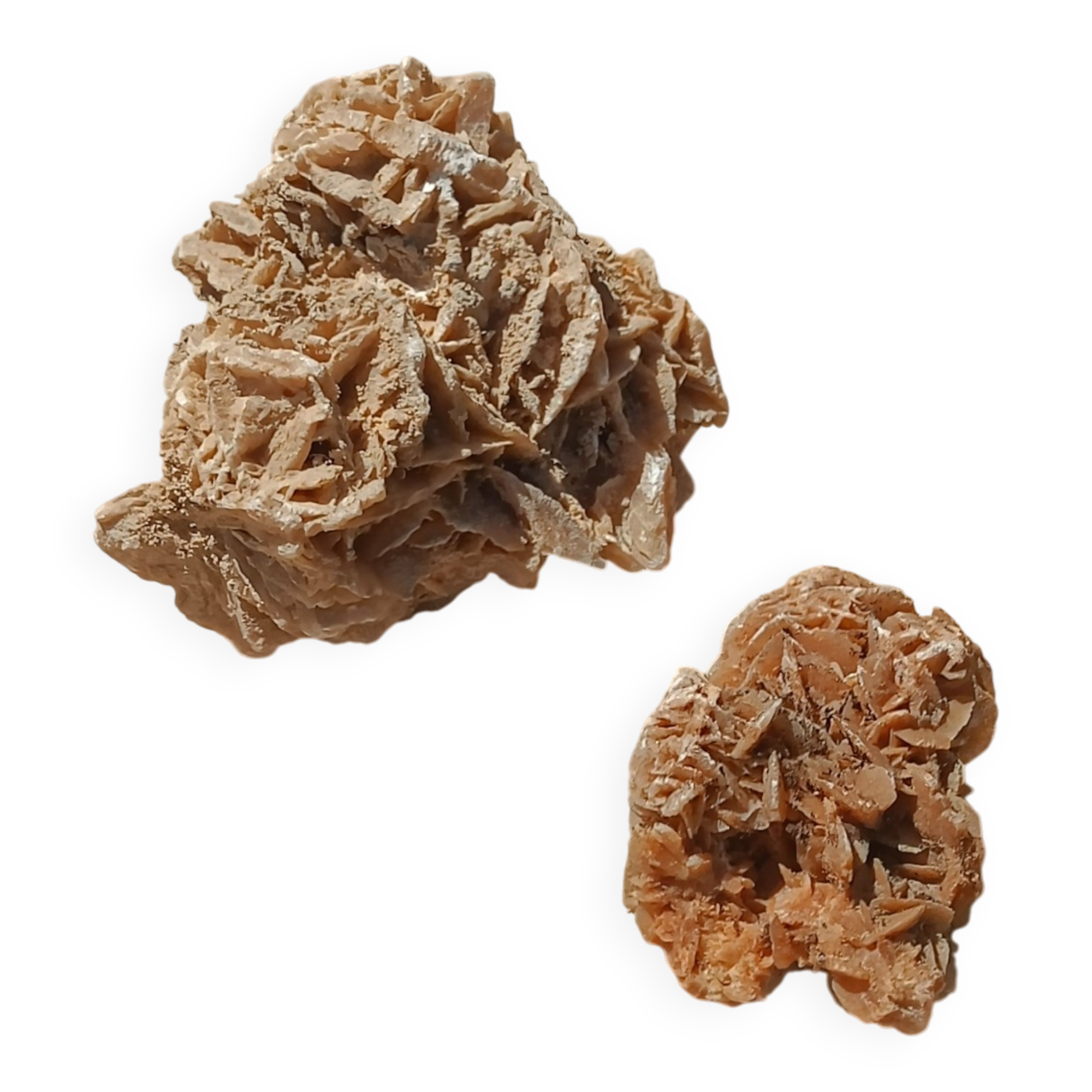 Roses des sables vintages
