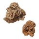 Roses des sables vintages