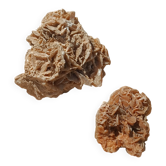 Vintage sand roses