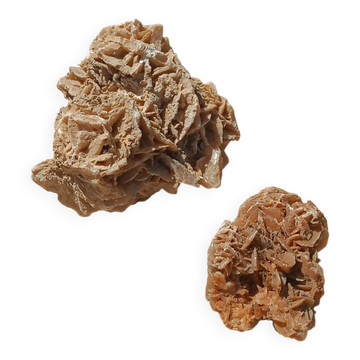 Vintage sand roses