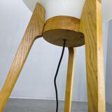 Mid Century Sculptural Floor Lamp with Glass Shade, 1970s