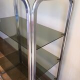 Chrome shelves and smoked glasses design