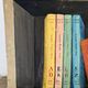 “The Bookshelf” London shelves by R Steed, oil on panel