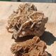 Roses des sables vintages