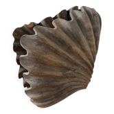 Brutalist wood shell sculpture box 1900