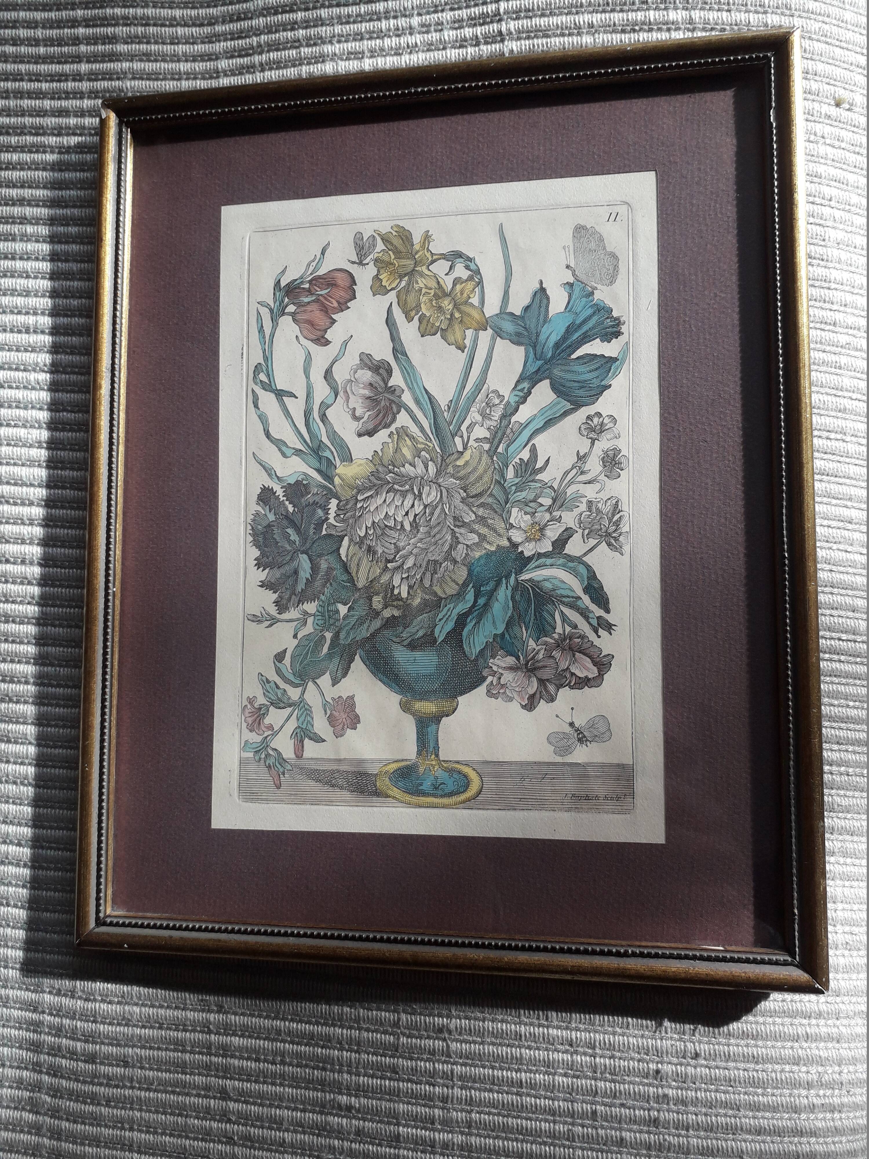 Ancient botanical engraving