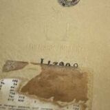 Eames Herman Miller DSW side chairs in ochres and light greige