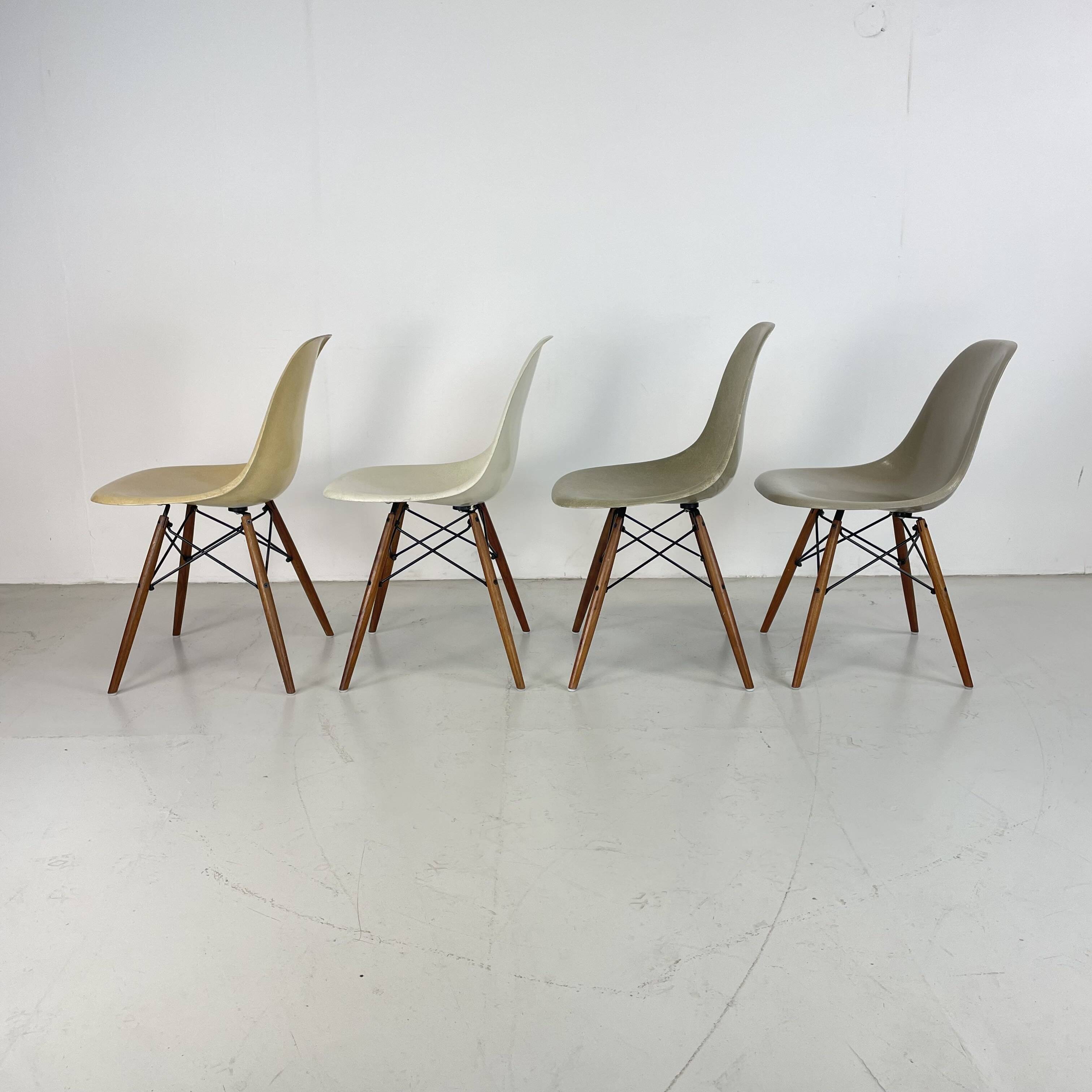 Chaises d'appoint Eames Herman Miller DSW en grège, vert écume de mer, ocre clair et parchemin avec léger