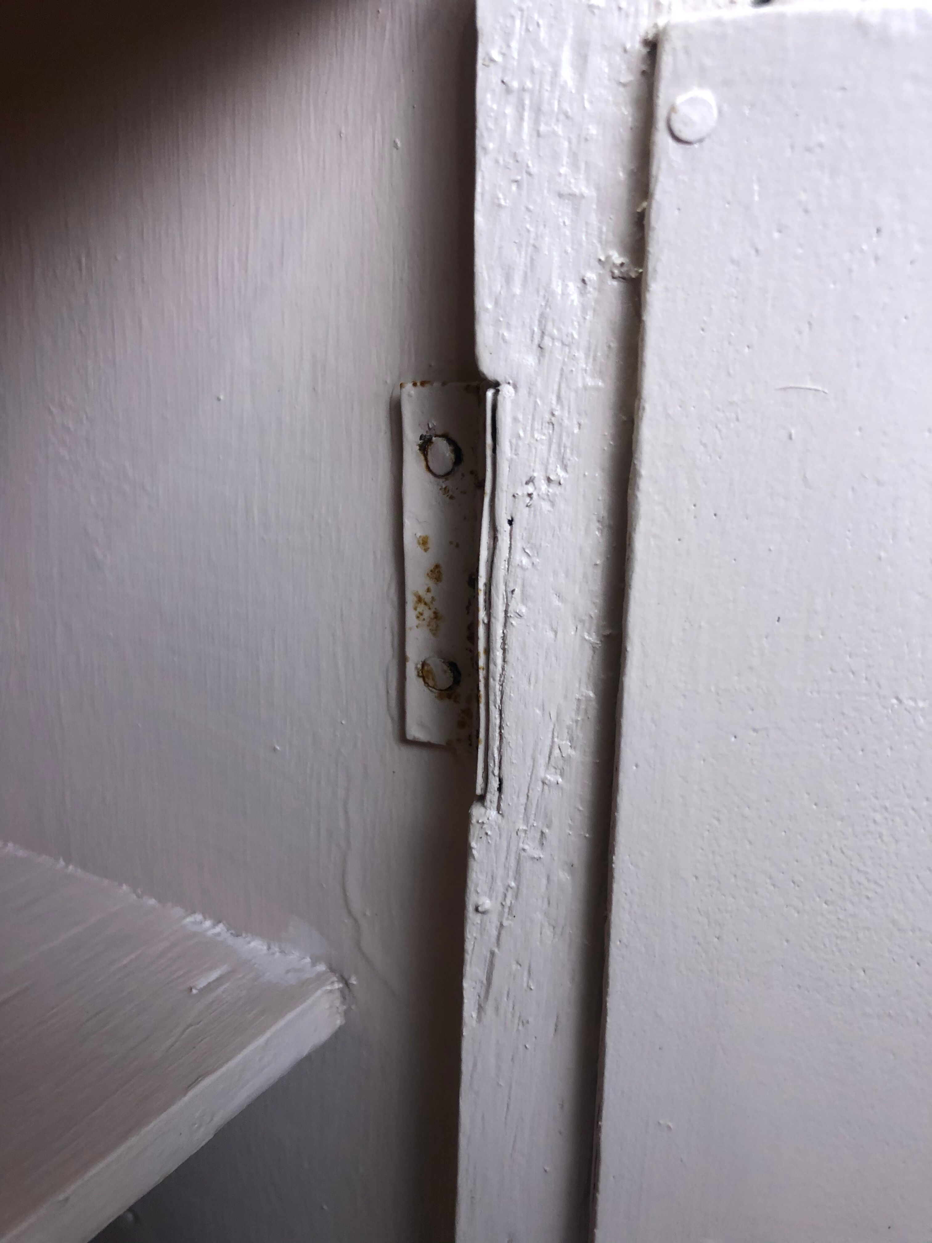 Rose pharmacy wardrobe